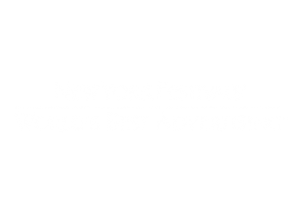 NY Festival